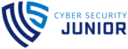 Cybersecurity Junior